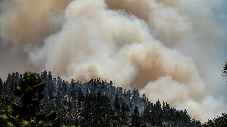 California Wildfire Insurance Crisis: Homeowners Face Scarcity & Rising Costs