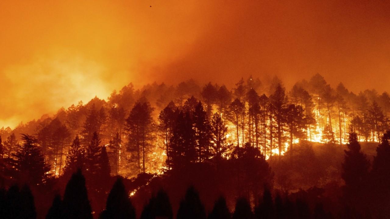 California Wildfires: Insurance Companies Reduce Coverage for Homeowners