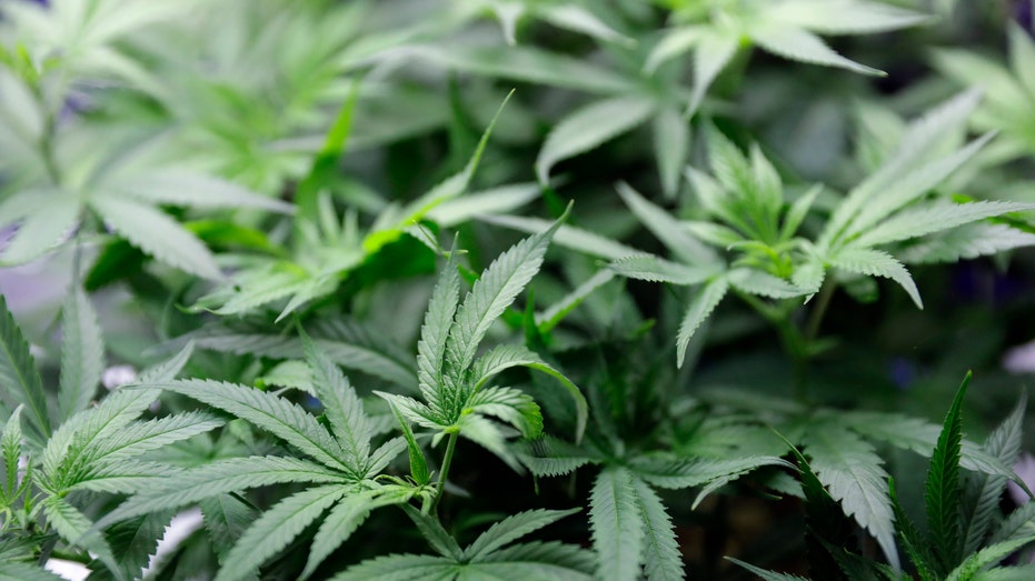 California Business Impact: Key Changes from Newly Signed Legislation