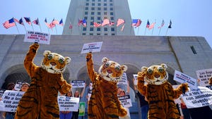 California Business Impact: Key Changes from Newly Signed Legislation