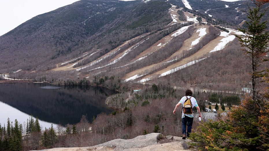 US States with Highest & Lowest Credit Scores: A 2024 Analysis