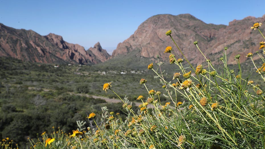 US States with Highest & Lowest Credit Scores: A 2024 Analysis