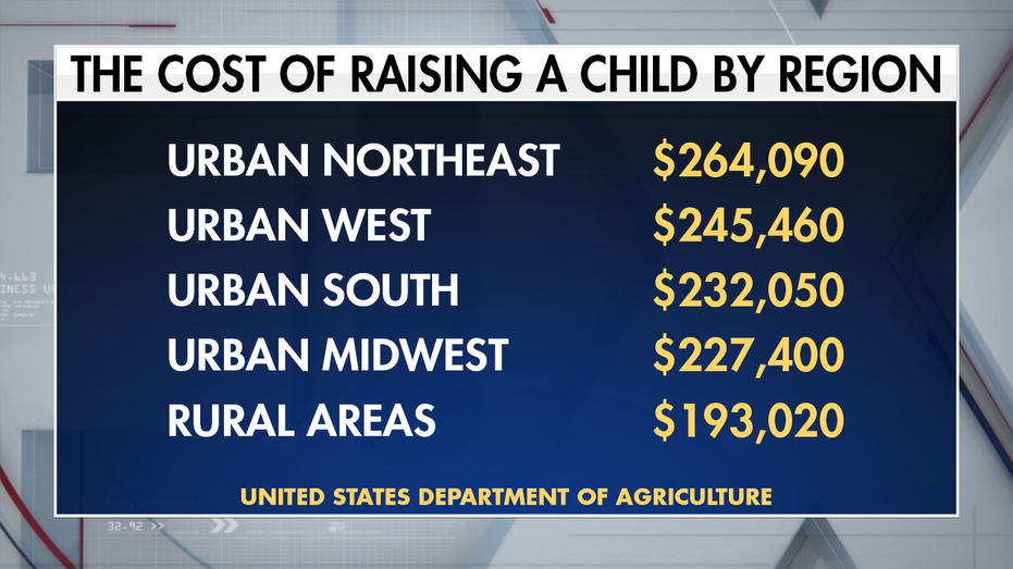 The True Cost of Raising a Child: A Millennial s Perspective