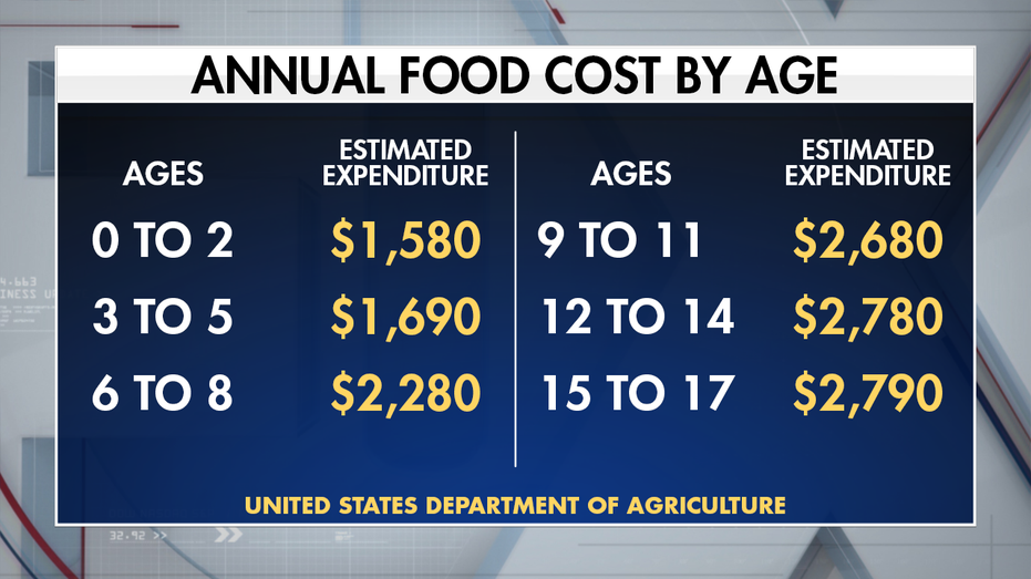 The True Cost of Raising a Child: A Millennial s Perspective