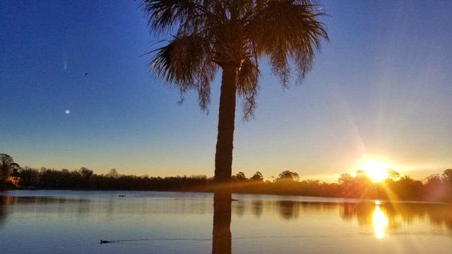 US Tax-Friendly States: Where Your Money Goes Further