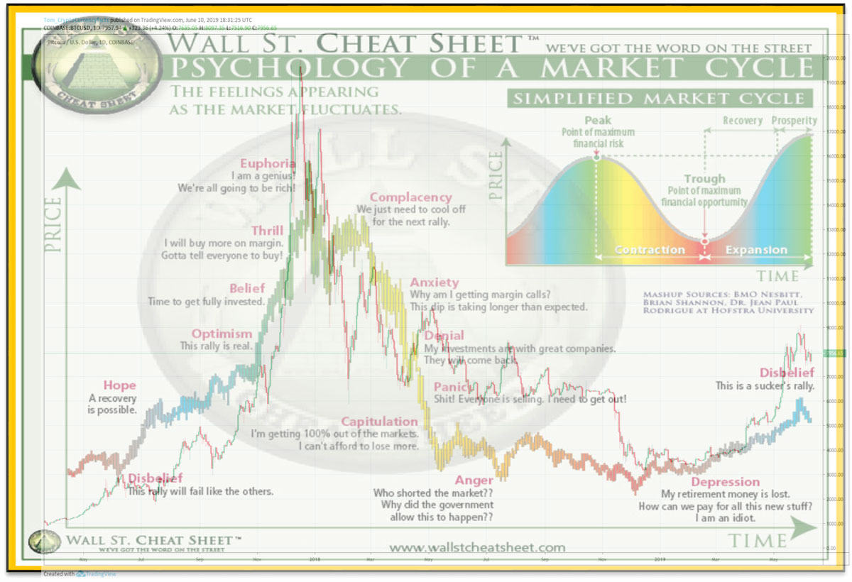 Bitcoin Price Analysis: 2016-2019 Trends & Wall Street Insights