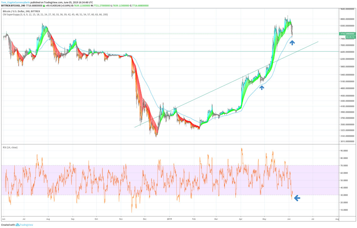 2019 Crypto Correction: Validating the Bull Market?