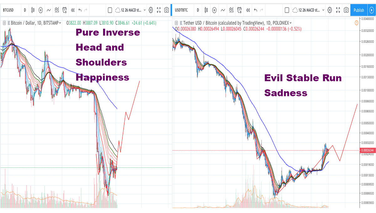 Crypto Market Breakout Imminent? Bullish Signals Abound