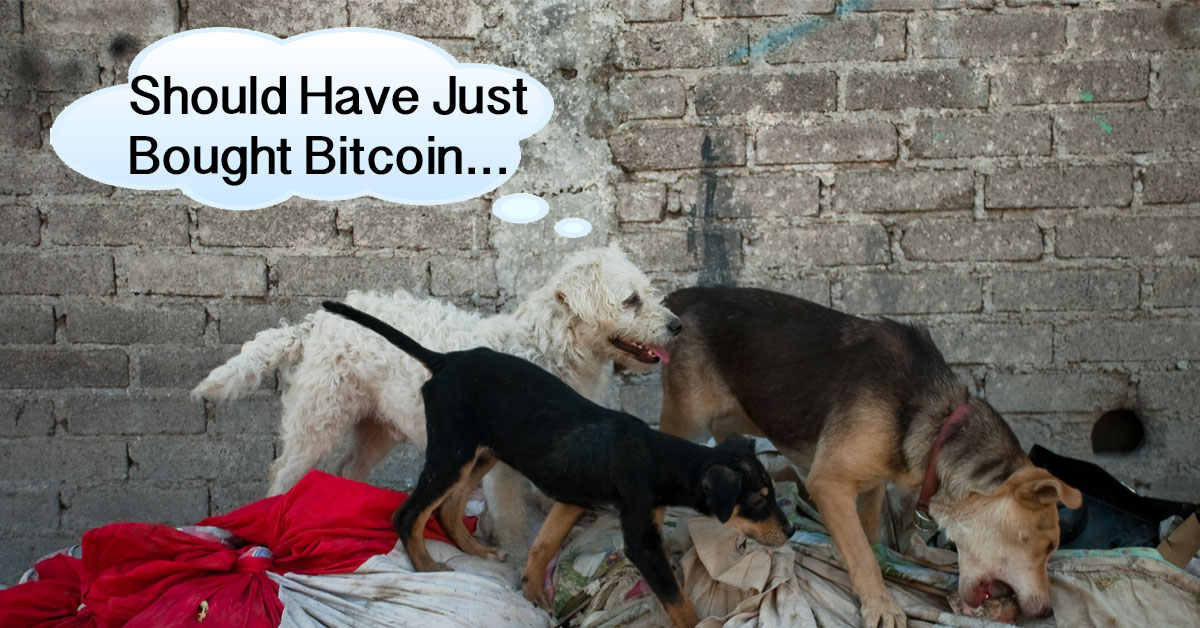 Understanding Altcoin Price Correlation with Bitcoin: Why Does It Happen?