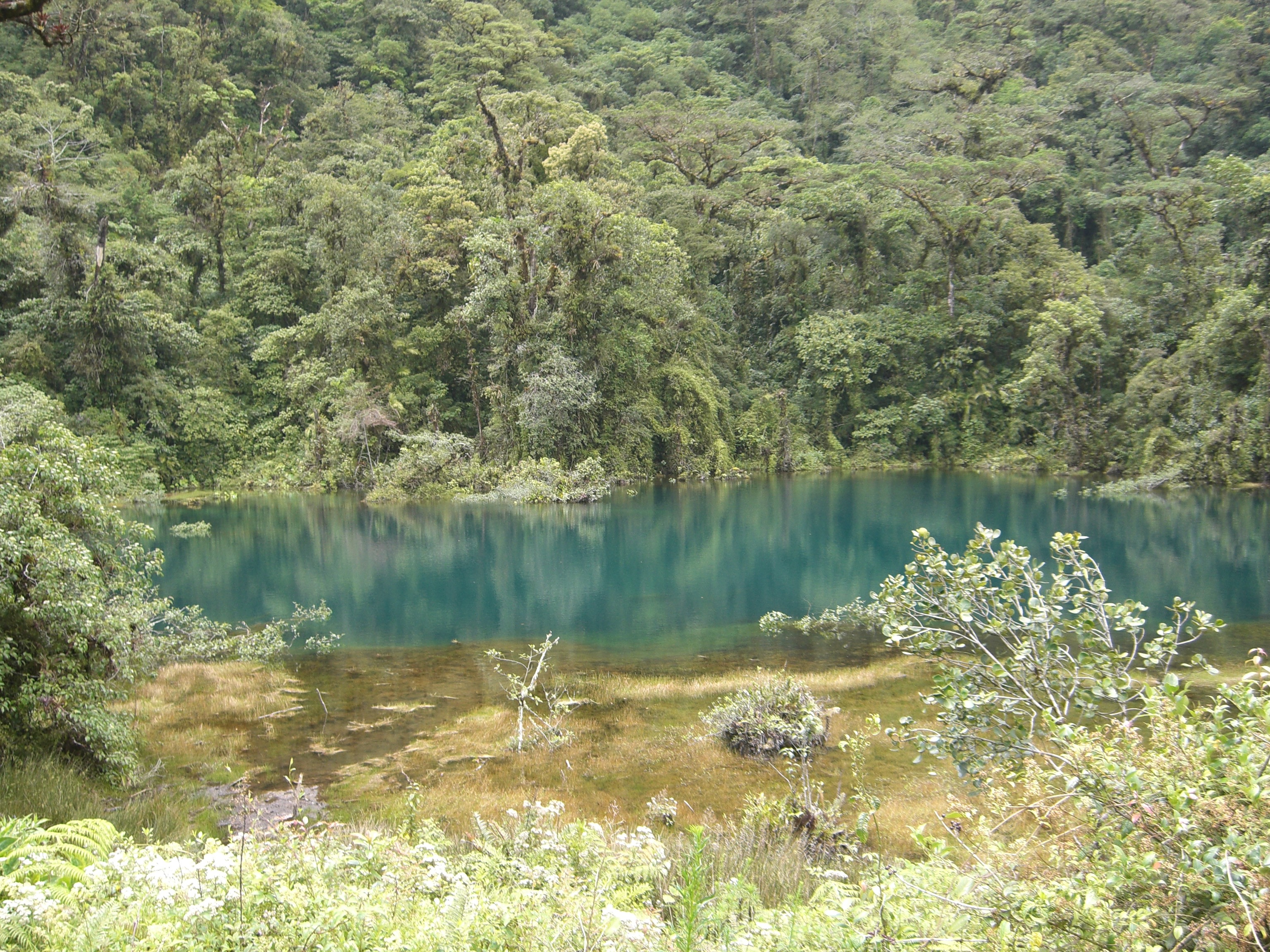 Banco Popular Costa Rica: A Model for Democratic & Sustainable Banking