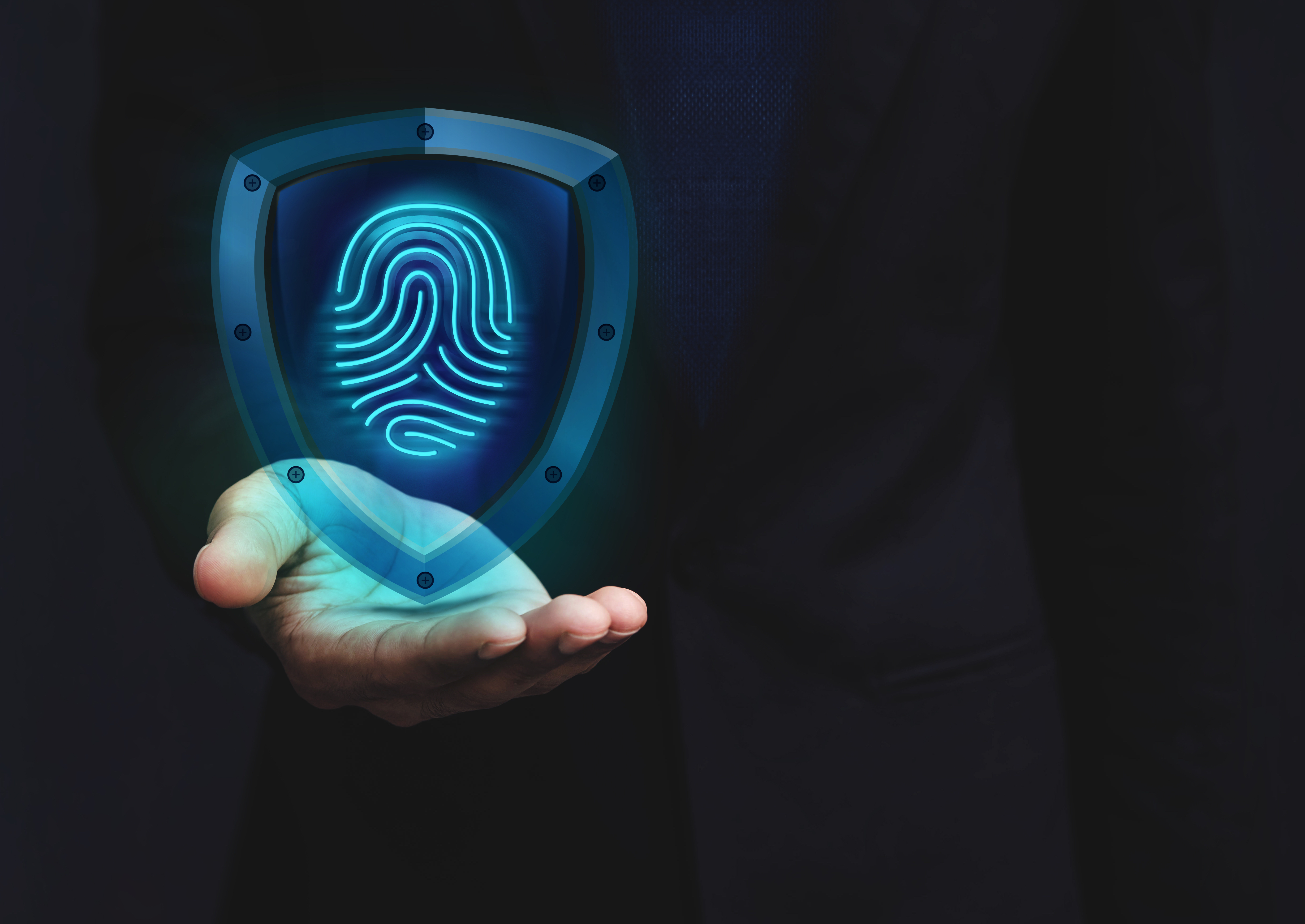 Blockchain for Digital Identity: PayPal CEO on the Future of Online IDs