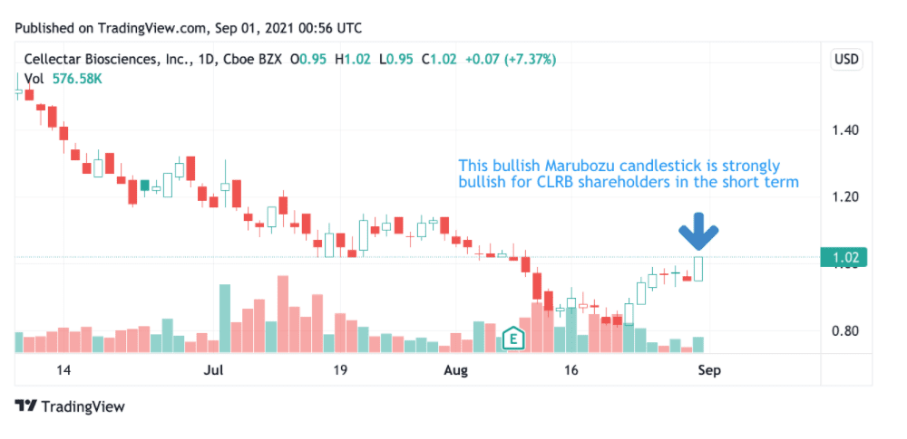Penny Stock Analysis: Technical Strategies for September 2021