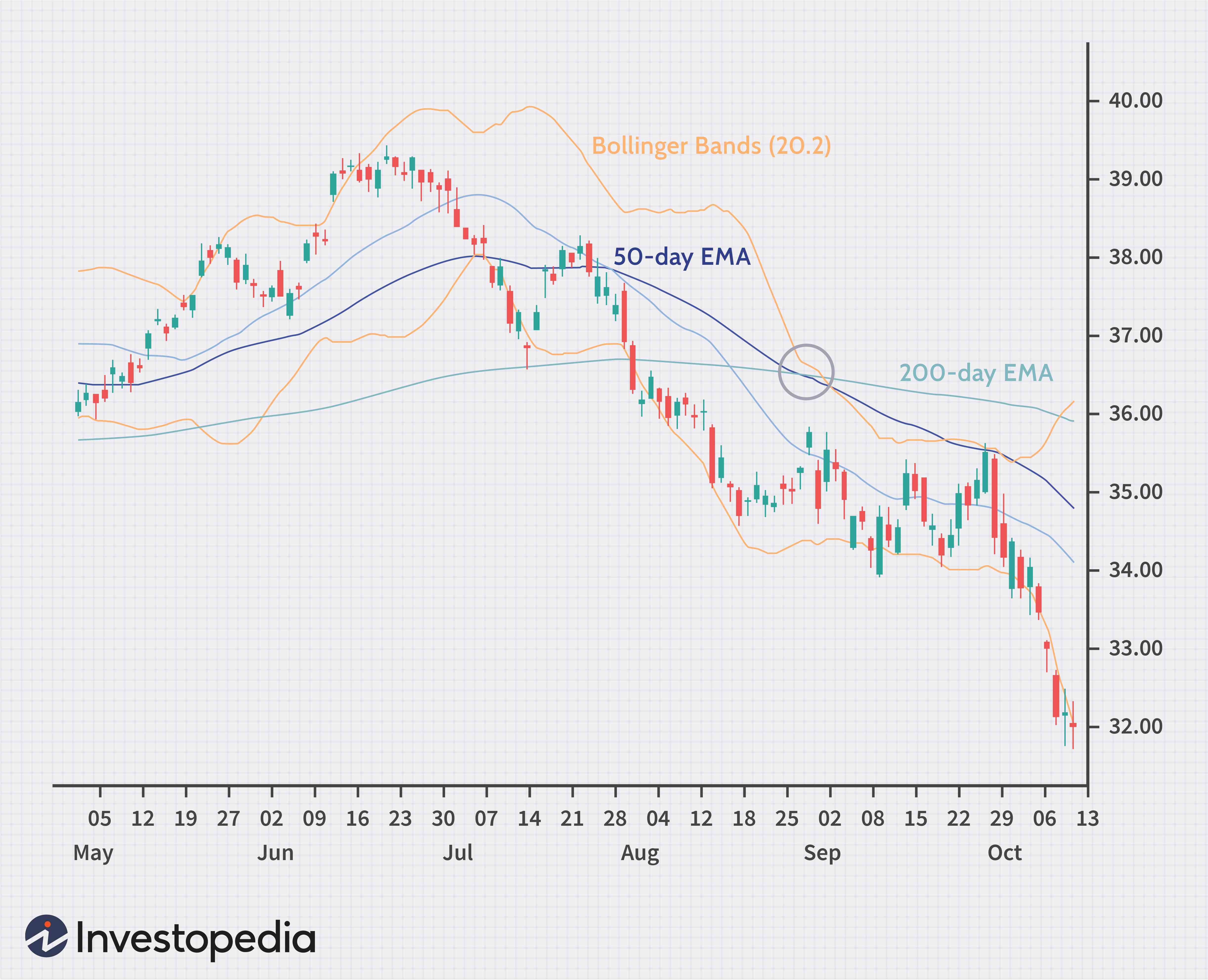 Essential Technical Indicators for Beginner Traders
