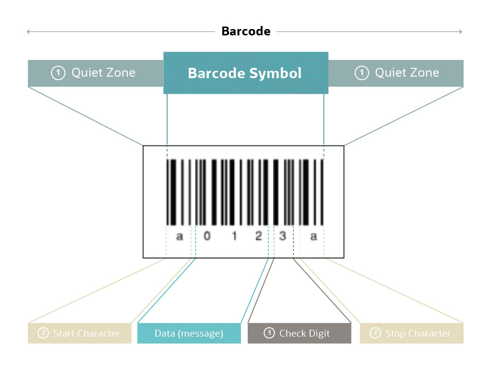Barcodes: Understanding How They Work & Their Business Benefits