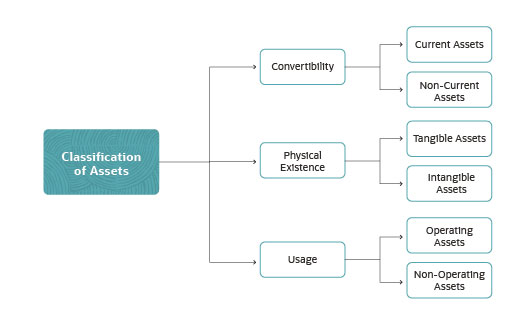 Understanding Assets: Types, Examples & Importance in Business Accounting