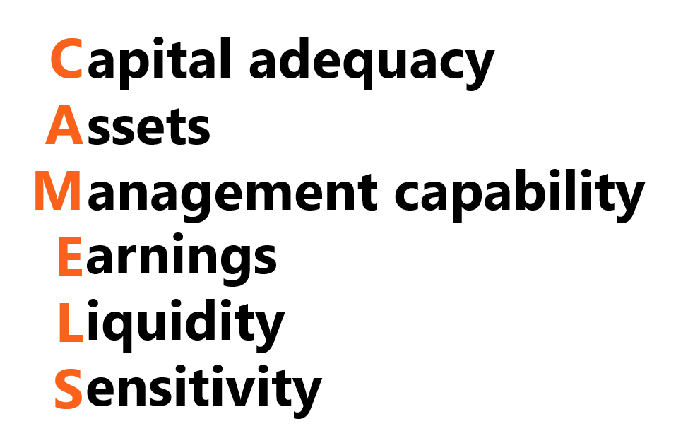 CAMELS Rating System: Understanding Bank Financial Health