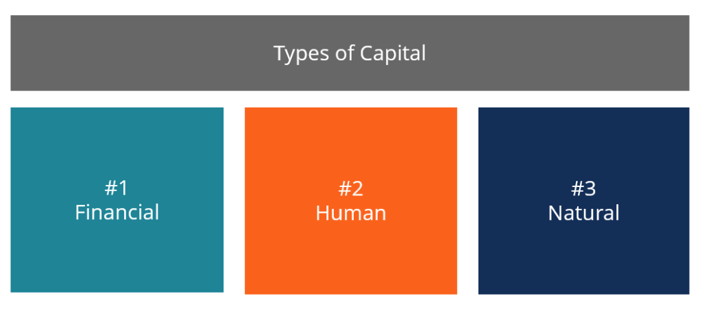 Understanding Capital: Types, Categories & Value Creation