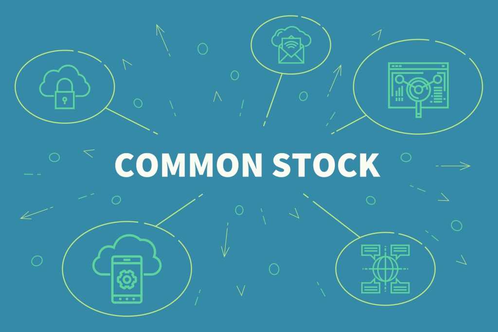 Understanding Common Stock: Ownership and Basics