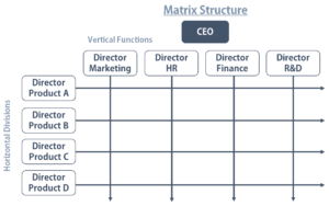 Understanding Corporate Structure: Types & Importance