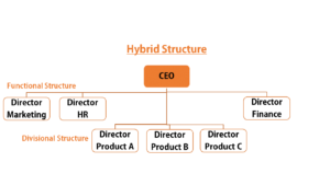 Understanding Corporate Structure: Types & Importance