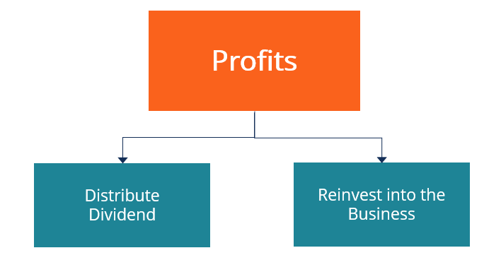 DRIP (Dividend Reinvestment Plan): A Comprehensive Guide for Investors