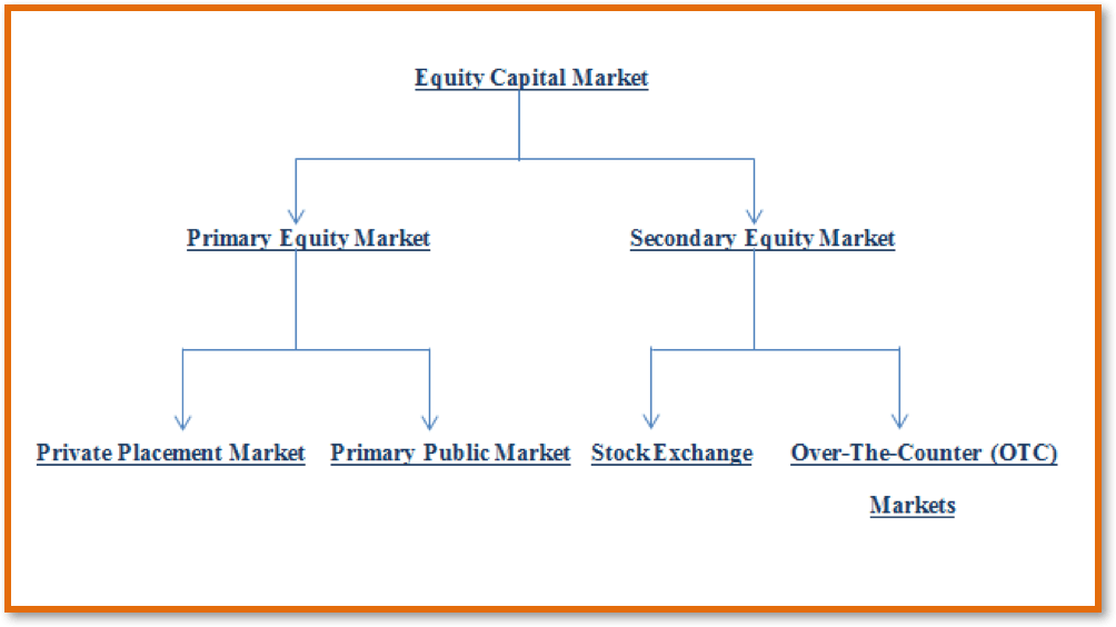 Equity Capital Market: Definition & How It Works