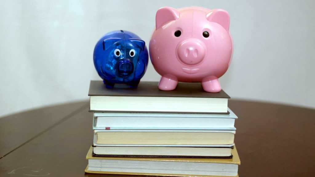 Fractional Banking Explained: How It Works & Its Role in Finance