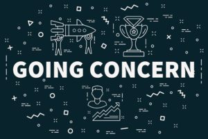 Understanding the Going Concern Principle: A Comprehensive Guide