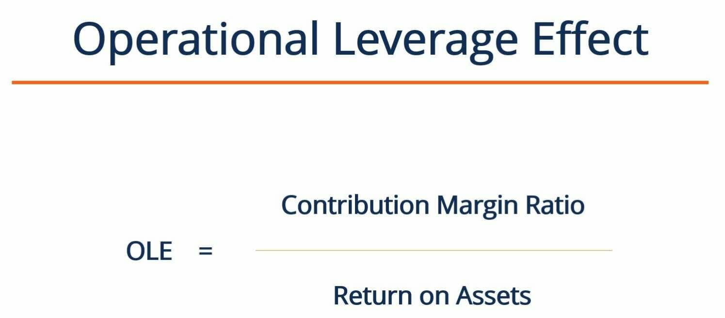 Understanding Leverage Effect Measures: Quantifying Business Risk