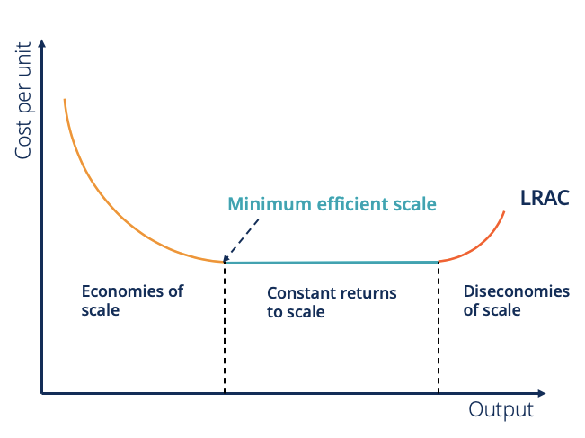 Minimum Efficient Scale (MES): Definition & Importance
