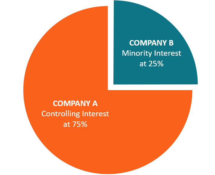Minority Interest: Definition, Implications & Proxy Voting