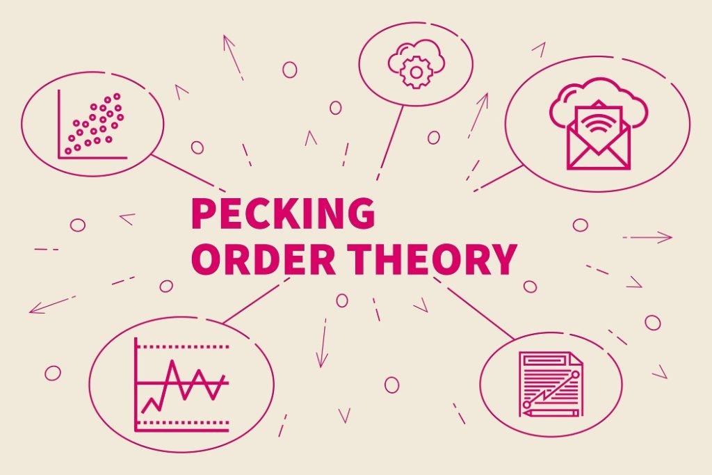 Pecking Order Theory: Understanding Corporate Financing Strategies