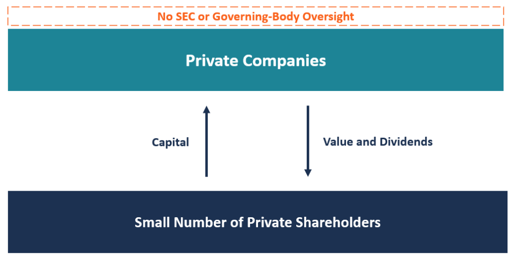 Understanding Private Companies: Ownership, Structure, and Types