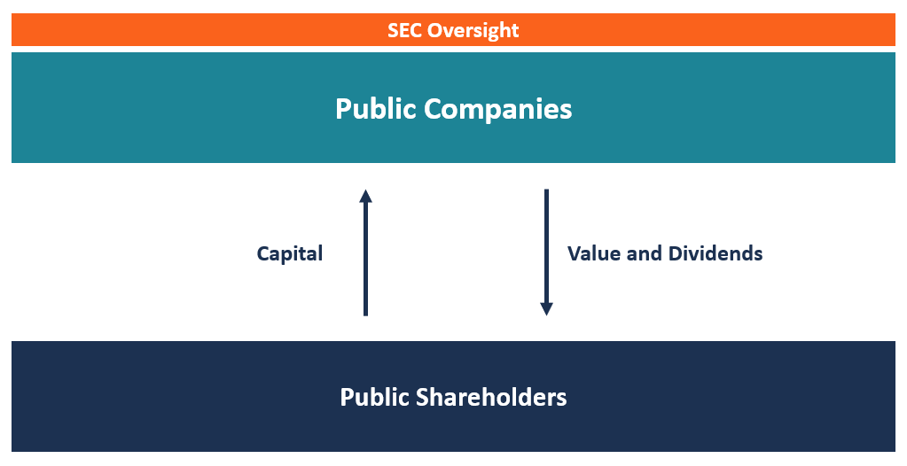 Understanding Public Companies: A Comprehensive Guide