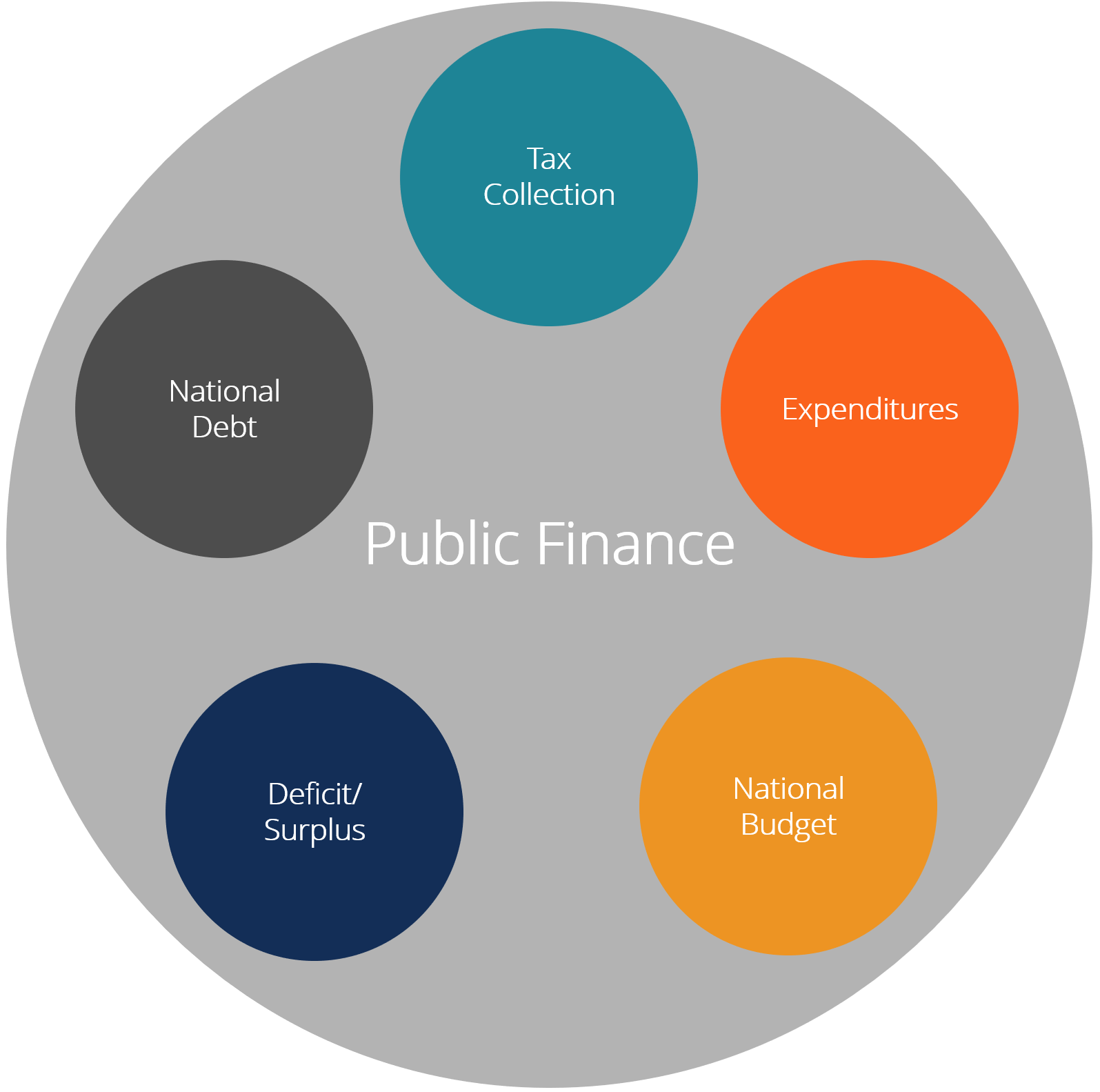 Public Finance: A Comprehensive Overview - Revenue, Spending & Management