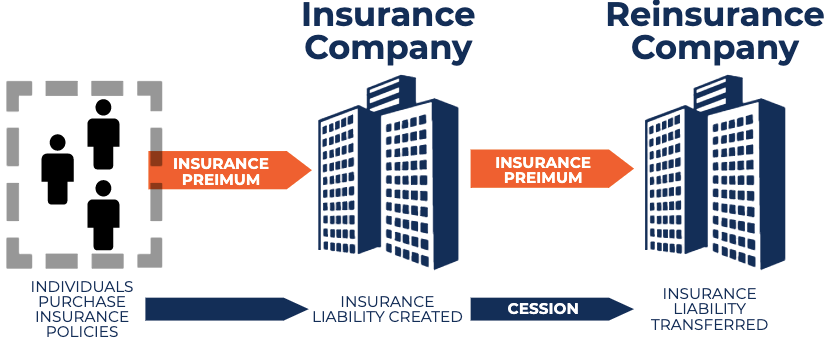 Understanding Reinsurance: Protecting the Insurance Industry