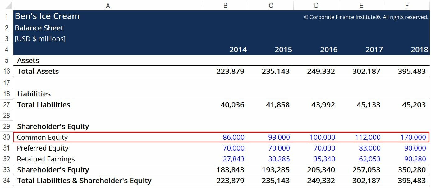 Return on Common Equity (ROCE): Definition & Importance