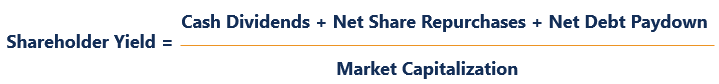 Shareholder Yield: A Comprehensive Guide to Returns for Investors