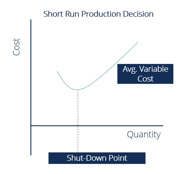 Understanding Short-Run Supply: Fixed Assets & Production