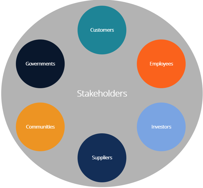 Understanding Stakeholders: Definition, Types & Importance