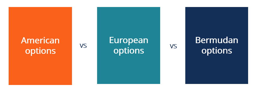 American, European, & Bermudan Options: A Comprehensive Comparison
