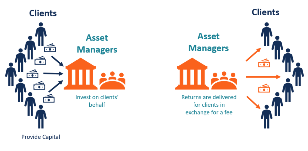 Asset Management Companies (AMCs): A Comprehensive Guide