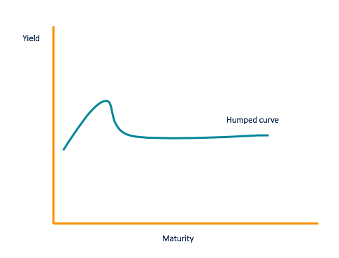 Understanding the Credit Curve: A Guide for Investors