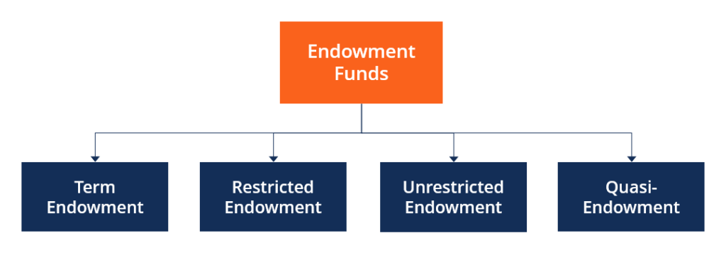 Endowment Funds: A Comprehensive Guide for Investors & Donors