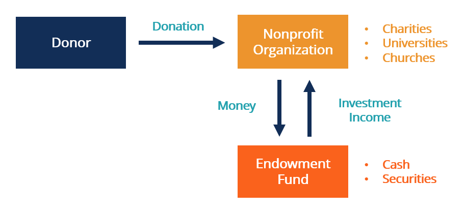 Endowment Funds: A Comprehensive Guide for Investors & Donors