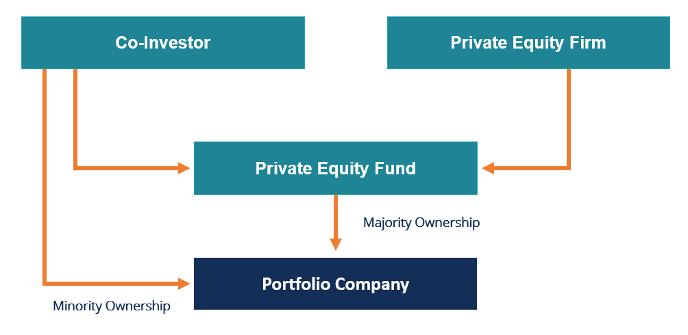 Equity Co-Investment: Definition & How It Works