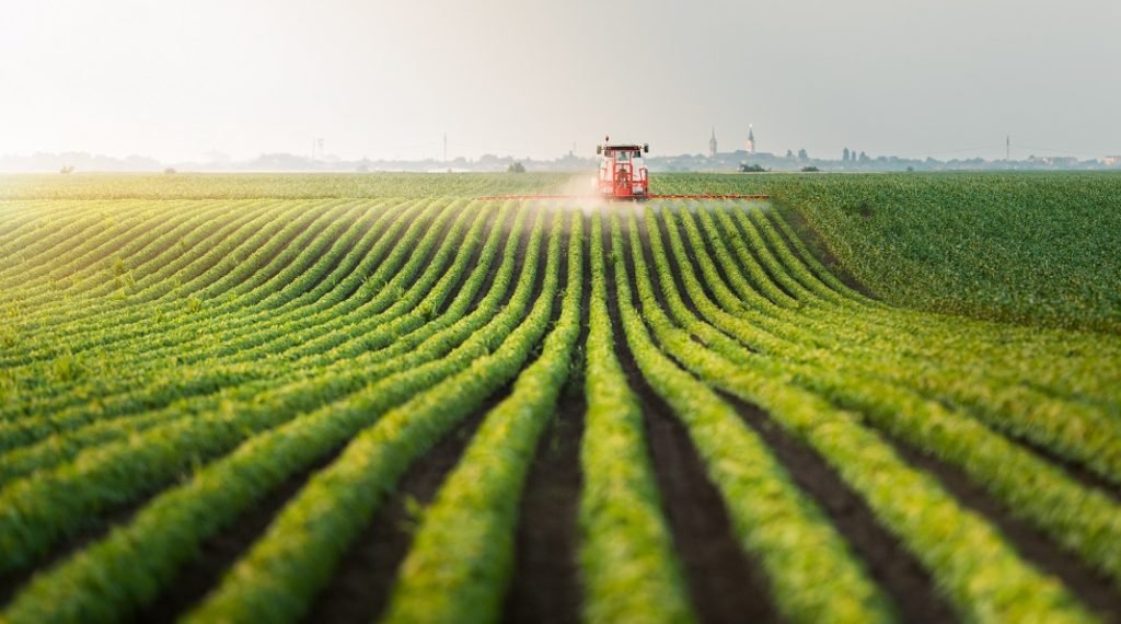 Farmland Investing: A Sustainable Alternative Asset Class