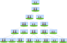 Fibonacci Numbers: Definition, Sequence & Properties