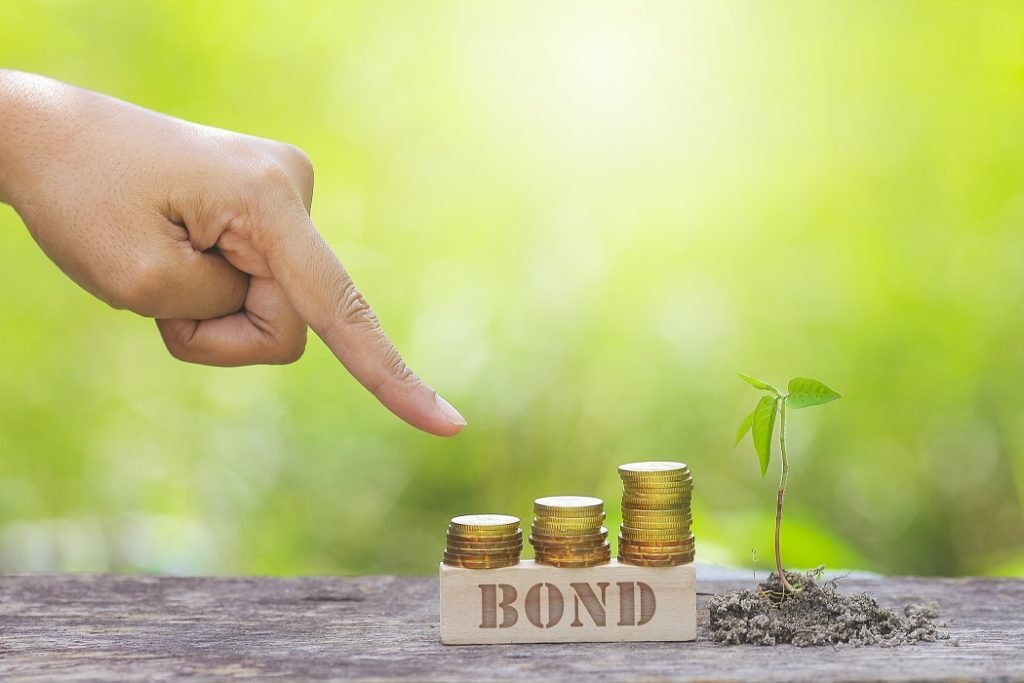 Green Bonds: Financing a Sustainable Future | [Your Company Name]