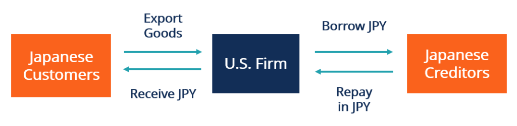 Natural Hedging: A Risk Reduction Strategy for Institutions